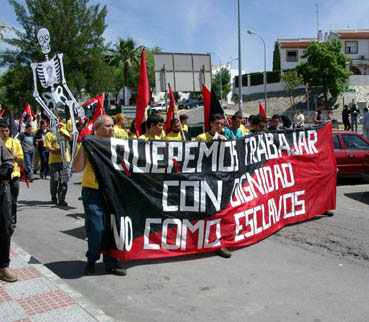 (Image JPEG)